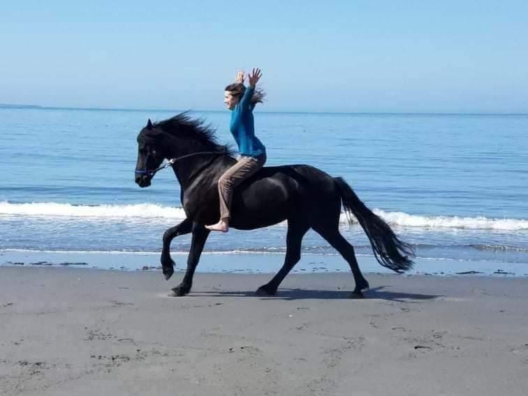 Beach ride